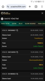 Screenshot_20250921-011225_Chrome.jpg