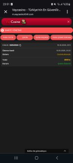 Screenshot_20251012_235142_Chrome.jpg
