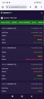 Screenshot_2025-06-11-20-51-44-656_com.android.chrome.jpg