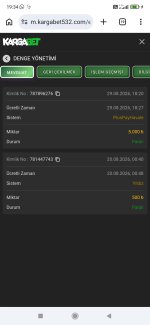 Screenshot_2026-08-29-19-34-27-051_com.android.chrome.jpg